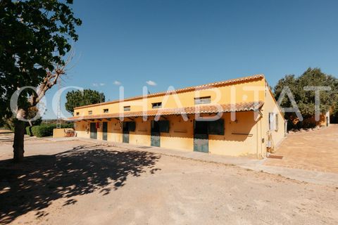 Villa - Betera, Valencia, Betera - € 1 500 000 | Réf : TB052/6904 - photo 43