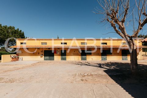 Villa - Betera, Valencia, Betera - € 1 500 000 | Réf : TB052/6904 - photo 45