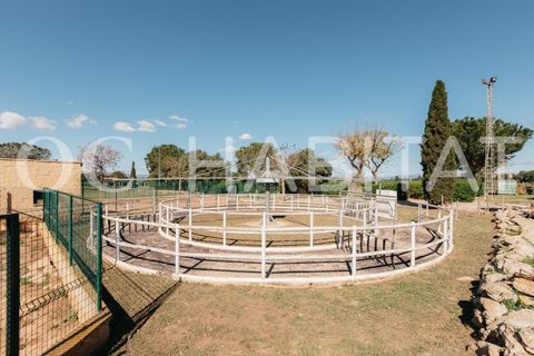 Villa - Betera, Valencia, Betera - € 1 500 000 | Réf : TB052/6904 - photo 47