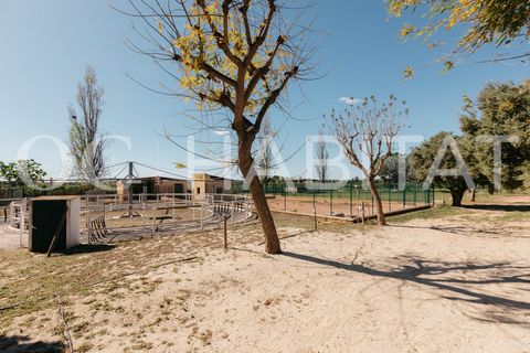 Villa - Betera, Valencia, Betera - € 1 500 000 | Réf : TB052/6904 - photo 49