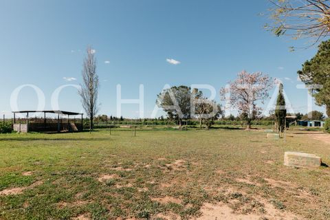 Villa - Betera, Valencia, Betera - € 1 500 000 | Réf : TB052/6904 - photo 50