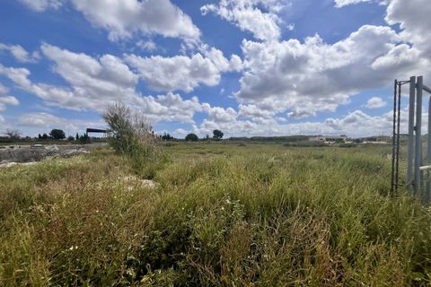 Terra a Catral, Alicante, Catral - € 97.000 | Ref: AG19MLSC958184 - foto 5