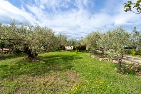 Villa i Aldover, Tarragona, Aldover - € 235.000 | Ref: 210 - foto 30
