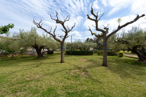 Villa i Aldover, Tarragona, Aldover - € 235.000 | Ref: 210 - foto 37