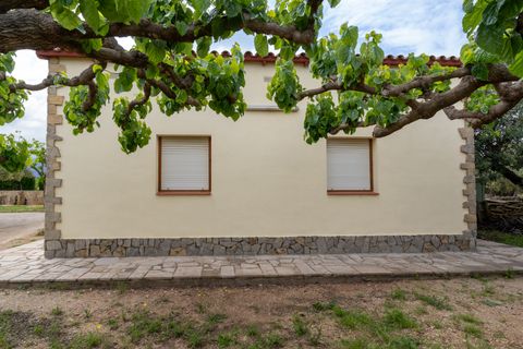 Villa i Aldover, Tarragona, Aldover - € 235.000 | Ref: 210 - foto 7