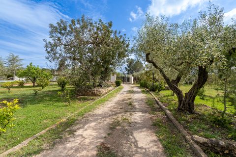 Villa i Aldover, Tarragona, Aldover - € 235.000 | Ref: 210 - foto 29