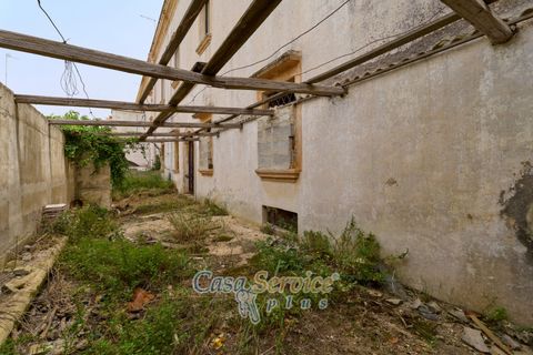 Villa i Alezio, Lecce, Alezio - € 190.000 | Ref: ALIL-190 - foto 36