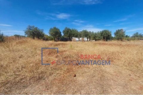 Helårsgrund i Alandroal, Evora, Alandroal - € 6.000 | Ref: T-28716 - foto 6