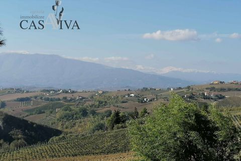 Landejendom i Offida, Ascoli Piceno, Offida - € 150.000 | Ref: CV9379 - foto 33