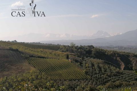 Landejendom i Offida, Ascoli Piceno, Offida - € 150.000 | Ref: CV9379 - foto 35