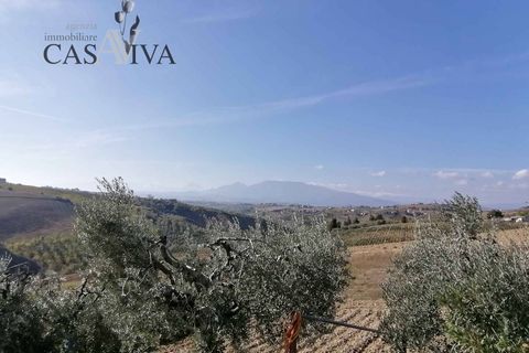 Landejendom i Offida, Ascoli Piceno, Offida - € 150.000 | Ref: CV9379 - foto 38