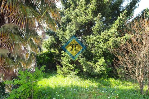 Terra a Cordenons, Pordenone, Cordenons - € 62.000 | Ref: 371 - foto 4