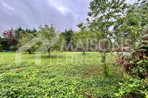 Terra a Mazamet, Tarn, Mazamet - € 55.000 | Ref: MZT25042025MAZAMET - foto 2