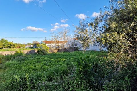 Terra a Alvito, Beja, Alvito - € 42.500 | Ref: UNU.I.1211.20159 - foto 4