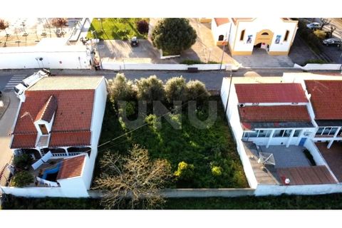 Terra a Alvito, Beja, Alvito - € 42.500 | Ref: UNU.I.1211.20159 - foto 3