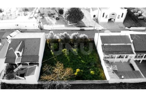 Terra a Alvito, Beja, Alvito - € 42.500 | Ref: UNU.I.1211.20159 - foto 6