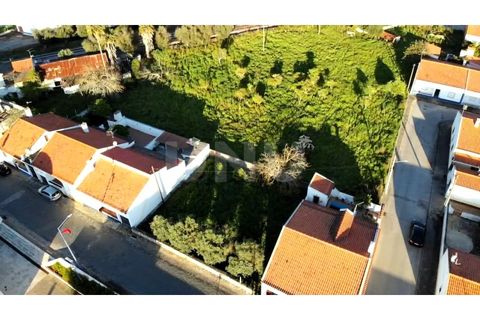 Terra a Alvito, Beja, Alvito - € 42.500 | Ref: UNU.I.1211.20159 - foto 7