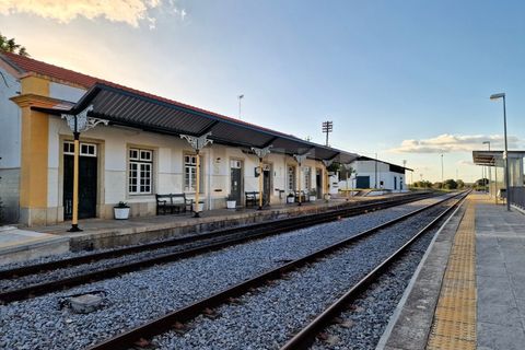 Terra a Alvito, Beja, Alvito - € 42.500 | Ref: UNU.I.1211.20159 - foto 10