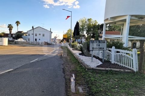 Terra a Alvito, Beja, Alvito - € 42.500 | Ref: UNU.I.1211.20159 - foto 11
