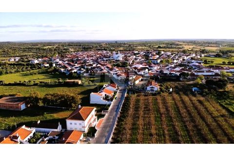 Terra a Alvito, Beja, Alvito - € 42.500 | Ref: UNU.I.1211.20159 - foto 16