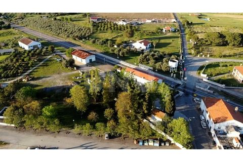Terra a Alvito, Beja, Alvito - € 42.500 | Ref: UNU.I.1211.20159 - foto 17
