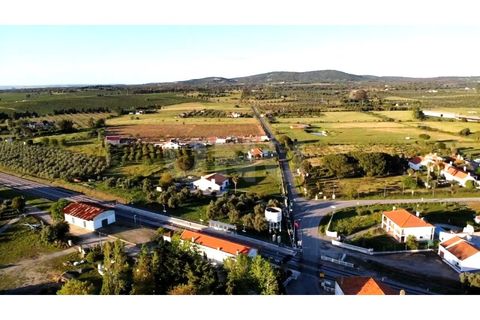 Terra a Alvito, Beja, Alvito - € 42.500 | Ref: UNU.I.1211.20159 - foto 18