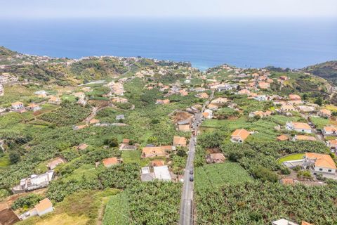 Byhus i Ponta do Sol, Madeira, Ponta do Sol - € 1.600.000 | Ref: KWPT-013995 - foto 37
