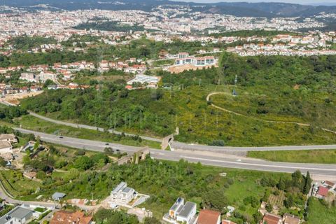 Terra a Coimbra, Coimbra, Coimbra - € 117.500 | Ref: LUX_CB-00930 - foto 6