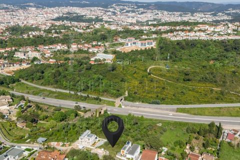 Terra a Coimbra, Coimbra, Coimbra - € 117.500 | Ref: LUX_CB-00930 - foto 7