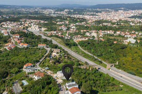 Terra a Coimbra, Coimbra, Coimbra - € 117.500 | Ref: LUX_CB-00930 - foto 8