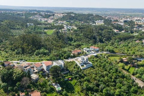 Terra a Coimbra, Coimbra, Coimbra - € 117.500 | Ref: LUX_CB-00930 - foto 11