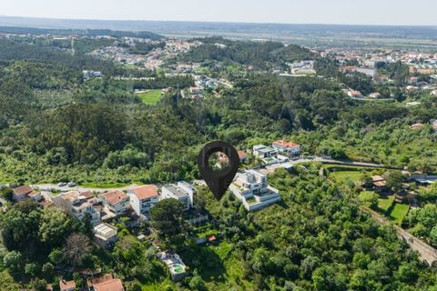 Terra a Coimbra, Coimbra, Coimbra - € 117.500 | Ref: LUX_CB-00930 - foto 12