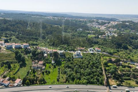 Terra a Coimbra, Coimbra, Coimbra - € 117.500 | Ref: LUX_CB-00930 - foto 13