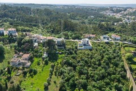 Terra a Coimbra, Coimbra, Coimbra - € 117.500 | Ref: LUX_CB-00930 - foto 15