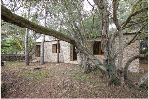 Herregård i Canyamel, Mallorca, Canyamel - € 2 200 000 | Ref: G&amp;amp;P_001009 - foto 24