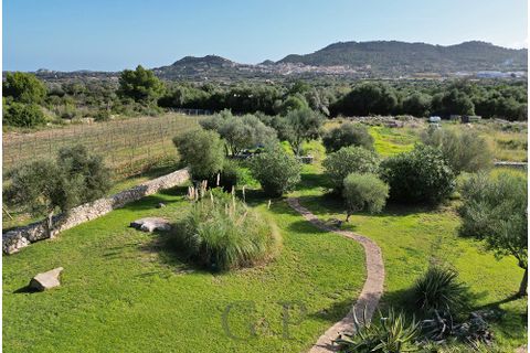 Masia a Capdepera, Mallorca, Capdepera - € 2.690.000 | Ref: G&amp;amp;P_001174 - foto 46