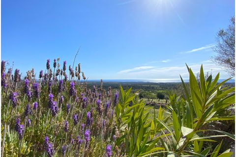 Landejendom i Son Macia, Mallorca, Son Macia - € 2.600.000 | Ref: G&amp;amp;P_001274 - foto 6