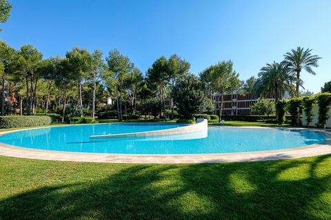 Penthouse i Calvia, Mallorca, Calvia - € 2 995 000 | Ref: 41810236_DN/11003 - foto 20