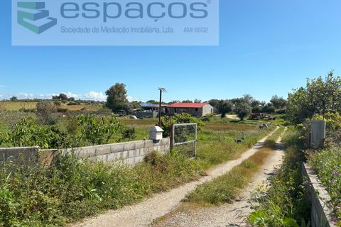 Farm i Castelo Branco, Castelo Branco, Castelo Branco - € 190.000 | Ref: 5657/AC-FA - foto 6