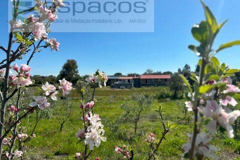 Farm i Castelo Branco, Castelo Branco, Castelo Branco - € 190.000 | Ref: 5657/AC-FA - foto 7