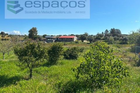 Farm i Castelo Branco, Castelo Branco, Castelo Branco - € 190.000 | Ref: 5657/AC-FA - foto 25