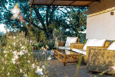 Landejendom i Sencelles, Mallorca, Sencelles - € 4.600.000 | Ref: SEN577 - foto 6
