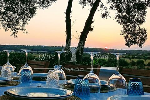 Landejendom i Sencelles, Mallorca, Sencelles - € 4.600.000 | Ref: SEN577 - foto 14