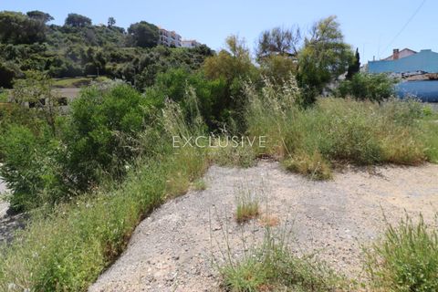 Helårsgrund i Lagoa, Faro, Lagoa - € 650.000 | Ref: EAV-3979 - foto 2