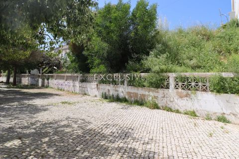 Helårsgrund i Lagoa, Faro, Lagoa - € 650.000 | Ref: EAV-3979 - foto 5
