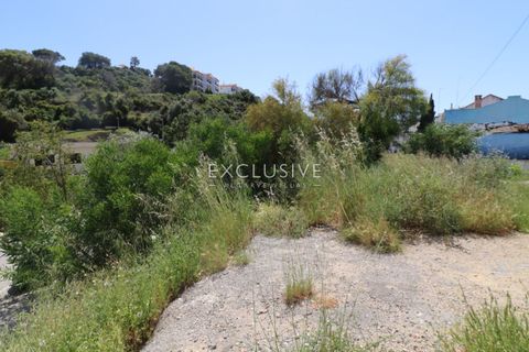 Helårsgrund i Lagoa, Faro, Lagoa - € 650.000 | Ref: EAV-3979 - foto 11