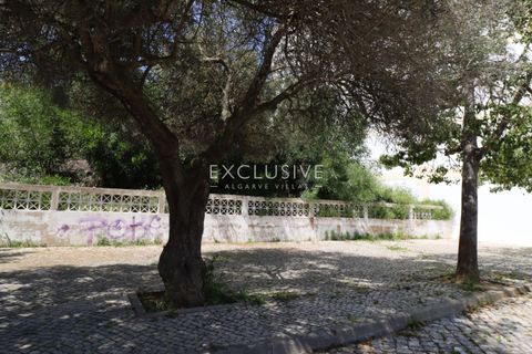 Helårsgrund i Lagoa, Faro, Lagoa - € 650.000 | Ref: EAV-3979 - foto 15
