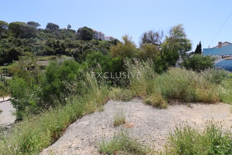 Helårsgrund i Lagoa, Faro, Lagoa - € 650.000 | Ref: EAV-3979 - foto 18