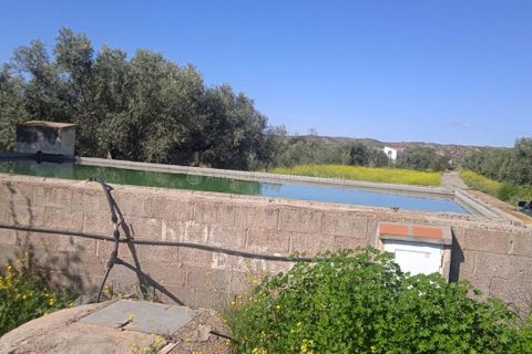 Farm hus i Taberno, Almeria, Taberno - € 230.000 | Ref: APS 1973 - foto 4