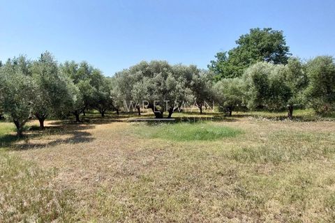 Villa i Lorgues, Var, Lorgues - € 650.000 | Ref: 85110485 - foto 9